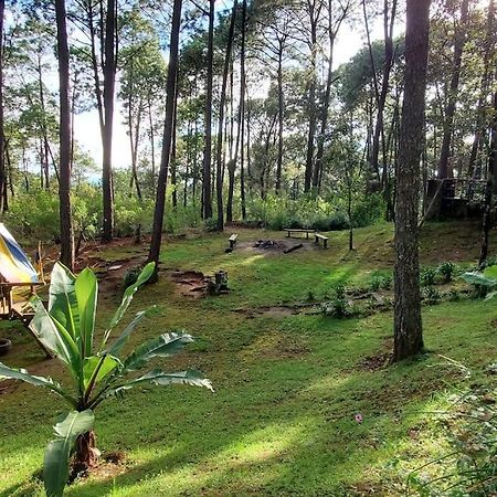 Cabana Rustica A 1Km De Cascada مازاميتلا المظهر الخارجي الصورة