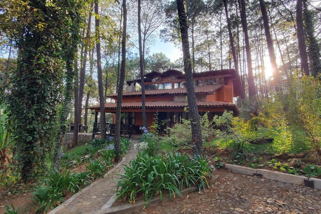 Cabana Rustica A 1Km De Cascada مازاميتلا المظهر الخارجي الصورة