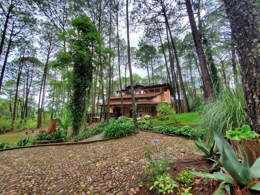 Cabana Rustica A 1Km De Cascada مازاميتلا المظهر الخارجي الصورة