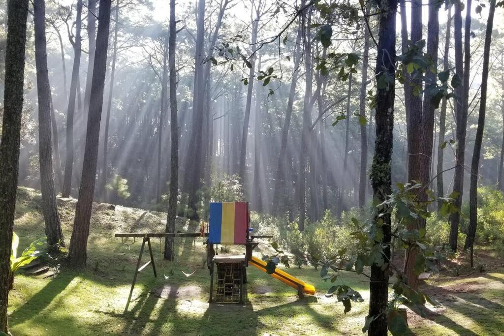 Cabana Rustica A 1Km De Cascada مازاميتلا المظهر الخارجي الصورة